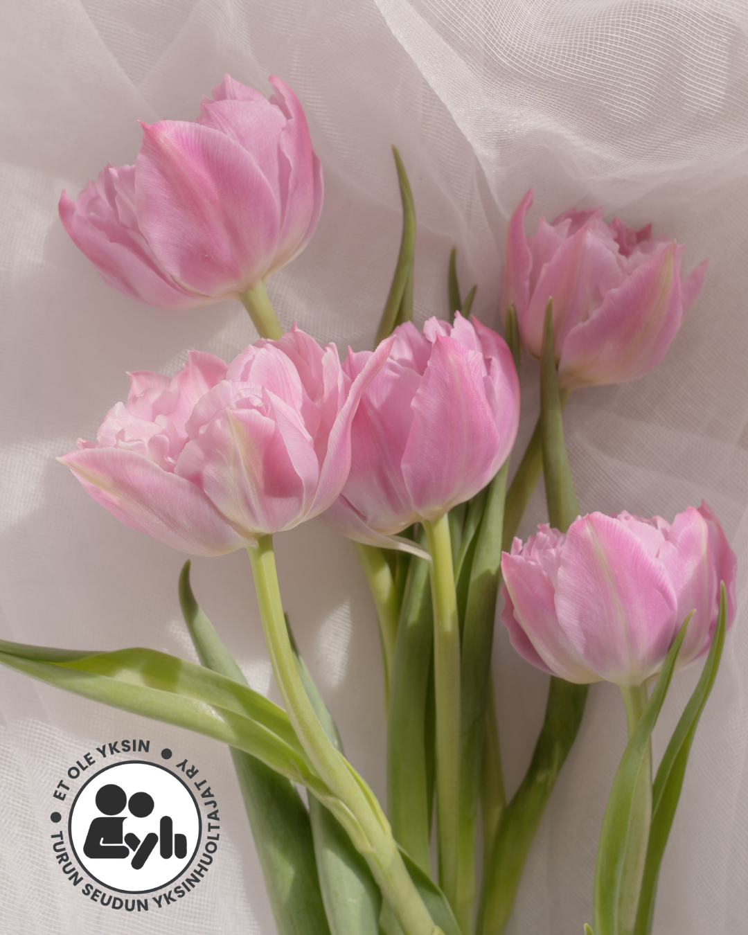 17 YHDISTYKSEN KEVÄTKOKOUS 25.3.2026